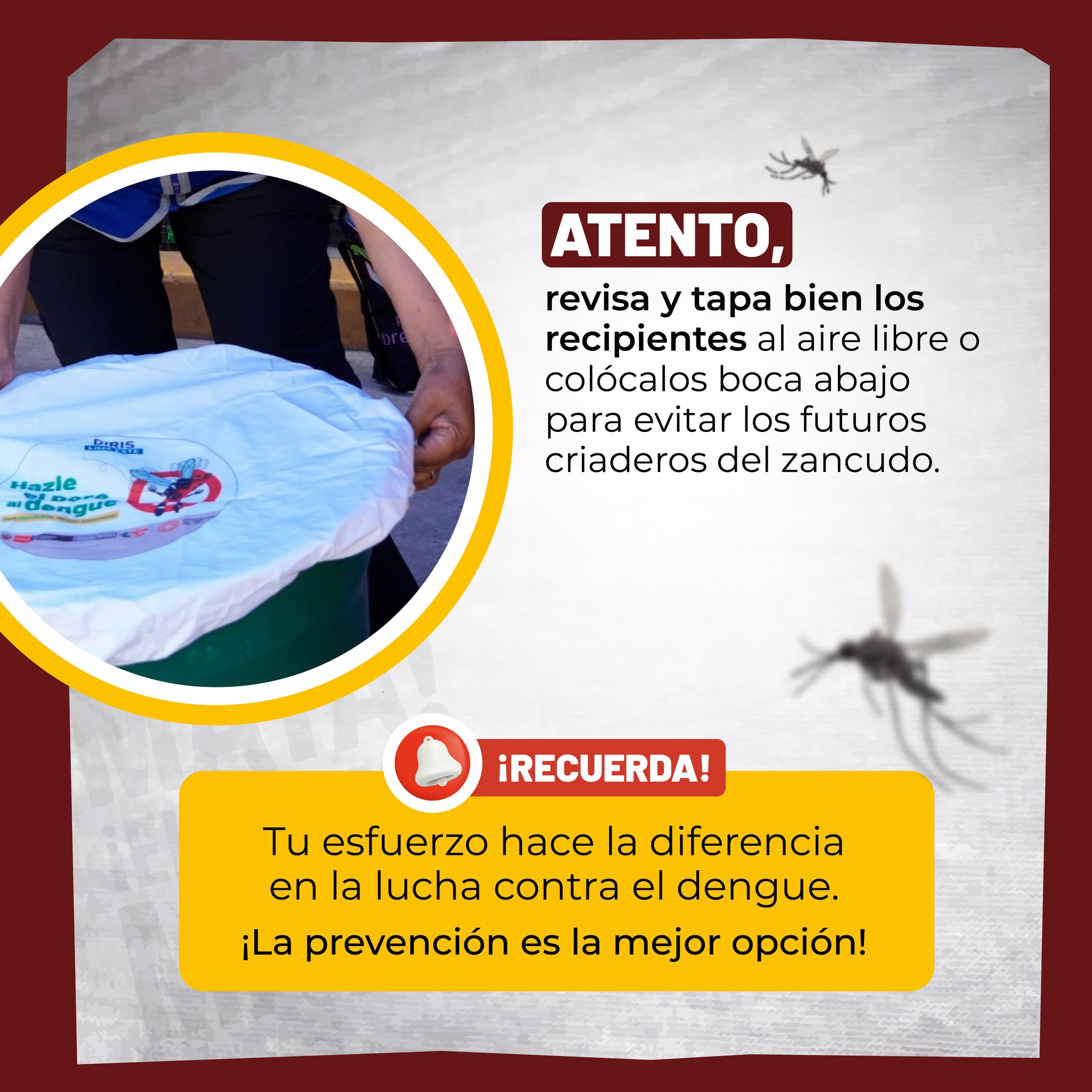 Imagen noticia