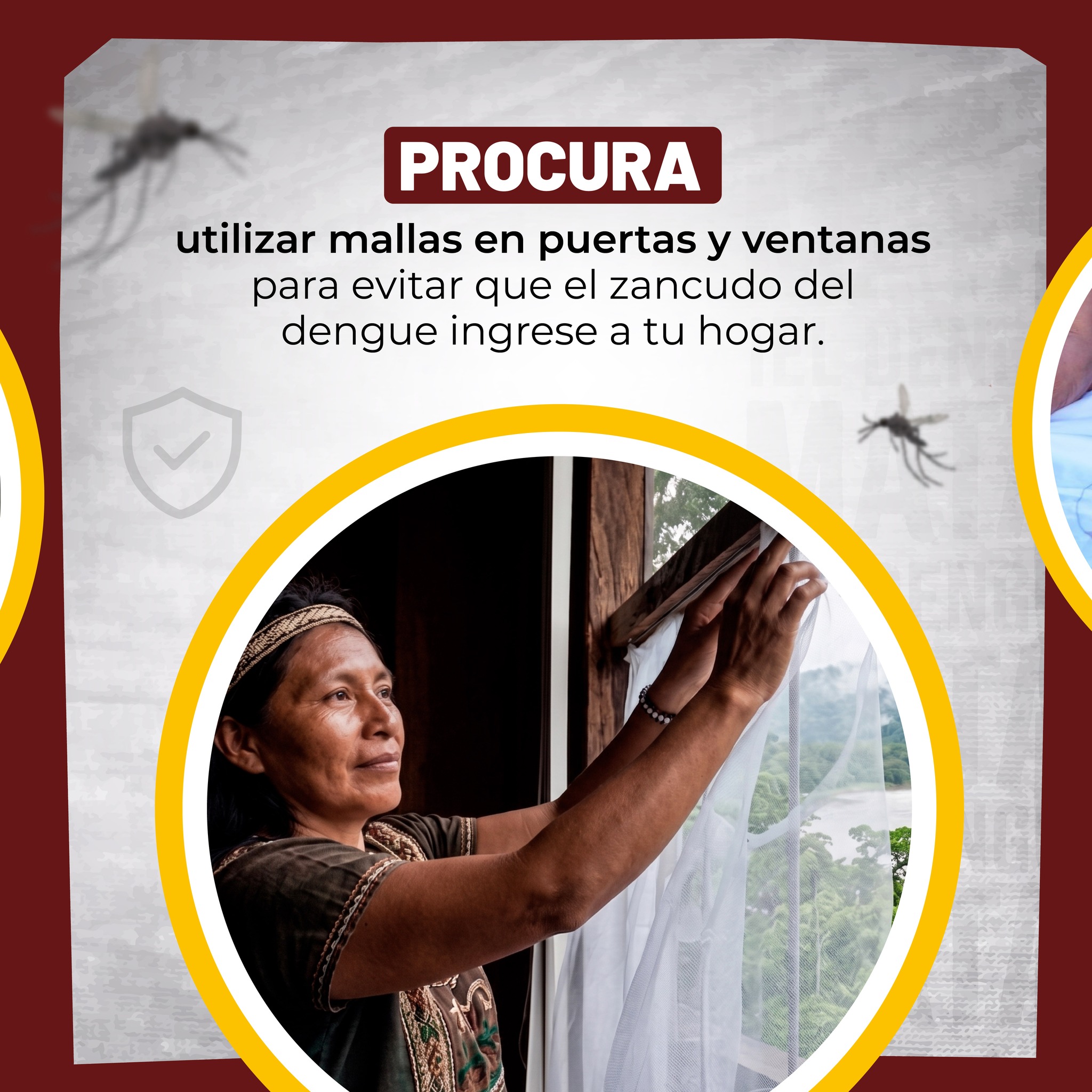Imagen noticia